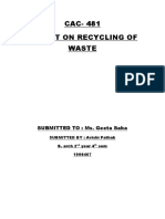 CAC-481 Report On Recycling of Waste: SUBMITTED TO: Ms. Geeta Saha