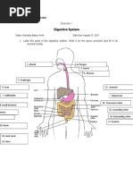 Quiz On Digestive System