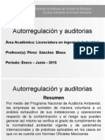 Autorregulacion y Auditorias