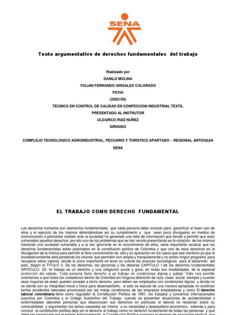 Derechos Fundamentales Del Trabajo | PDF | Derecho laboral | Derechos ...