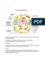 Electron Microscopic Cell Structure