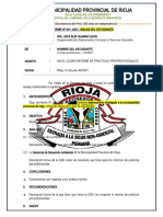 Modelo de Informe