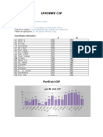 Informe Cip