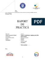 Template Raport de Practica_Nume_Prenume