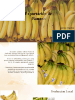 Exportacion Banano