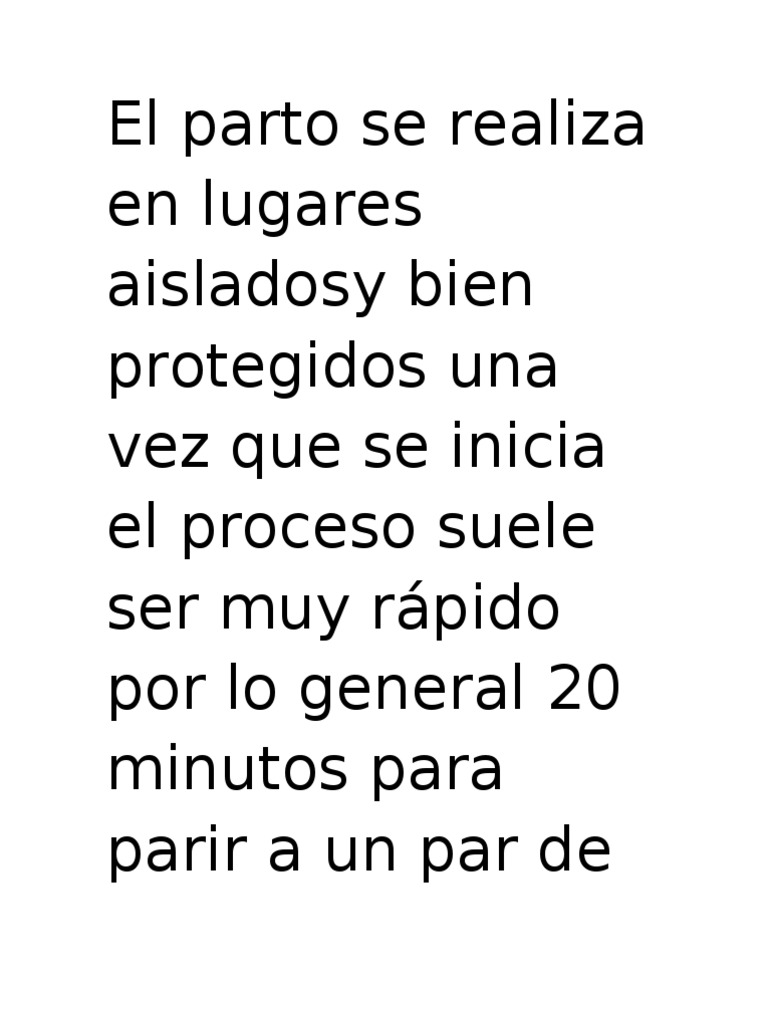 El Parto Se Realiza en Lugares Aisladosy Bien Protegidos Una Vez Que Se ...