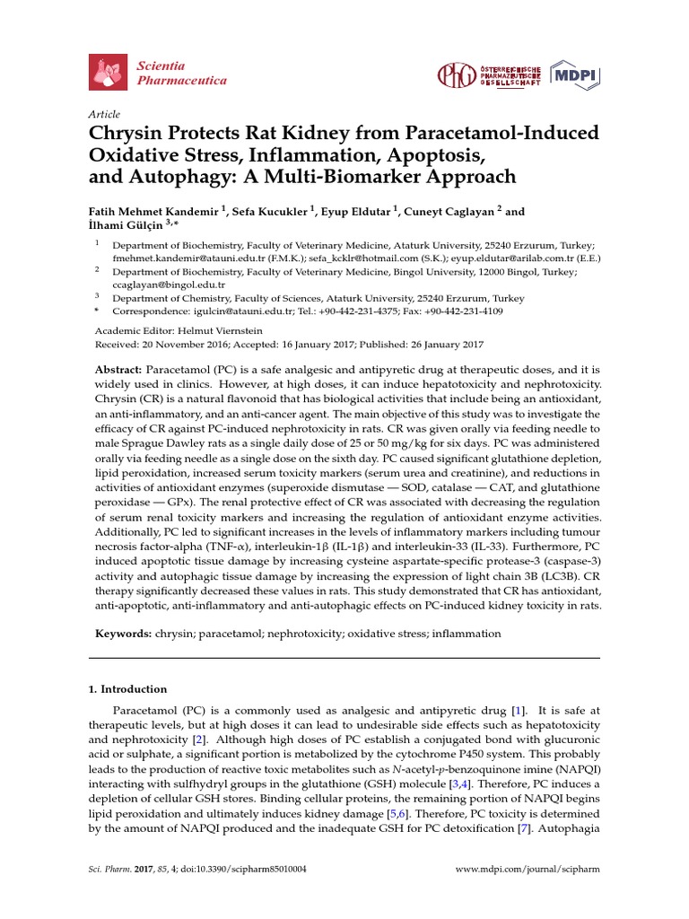 Chrysin Protects Rat Kidney From ParacetamolInduced Oxidative Stress