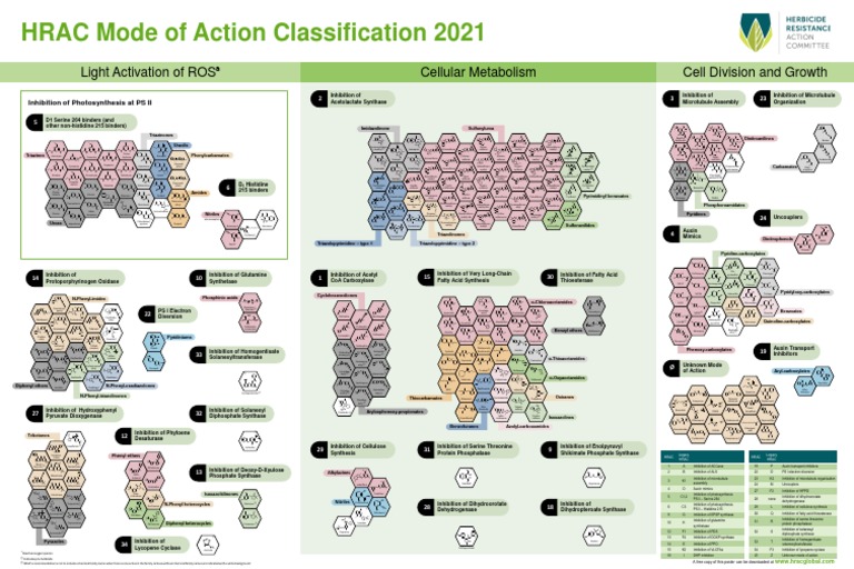 HRAC Mode of Action Classification 2024 | PDF | Biology | Chemical ...