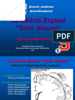 (3) La Medula Sustancia Blanca Tractos Descendentes