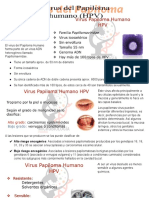 Virus Del Papiloma Humano.doc