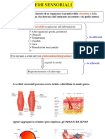 07 SistemiSensoriali
