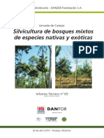 Silvicultura Bosques Mixtos