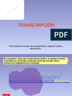 Transcripción (Síntesis de ARN)