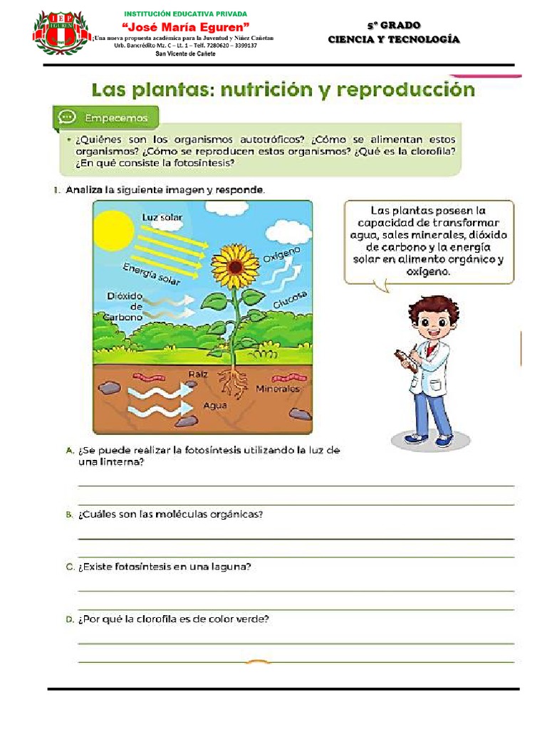 Ciencia y Tecnología 5° Grado | PDF | Hogar, jardinería y bricolaje