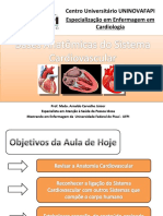 Aula - Anatomia Cardíaca