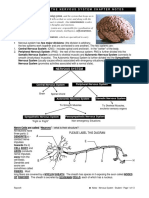 Nervous System