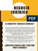 El Negocio Jurídico