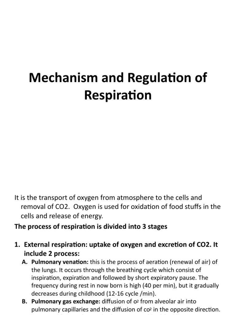 Mechanism and Regulation of Respiration | PDF | Respiratory Tract | Lung