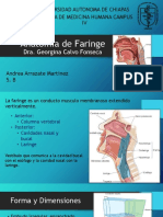 anatomadefaringe-160816052643
