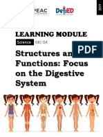 G8 Science Module: Focus on the Digestive System