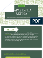 Capas de La Retina (1)