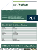 Arabidopsis