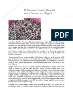 Guru Besar IPB Temukan Pakan Alternatif Pengganti Ransum Ternak dari Maggot