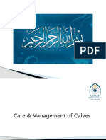 Calves Care & Management Guide