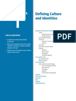 Defining Culture and Identities: Focus Questions