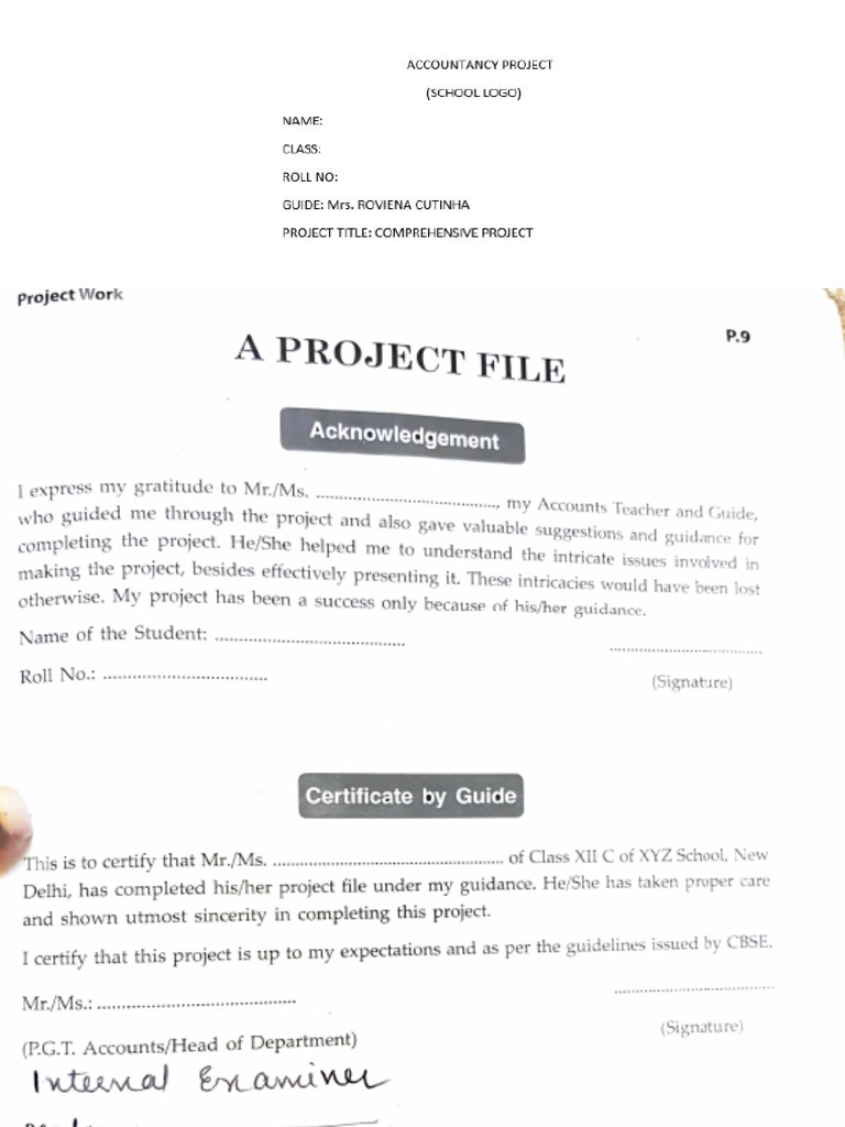 Class 11 Accountancy Project File | PDF | Expense | Banks