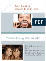 An Introduction To Your Teeth: Oral Health