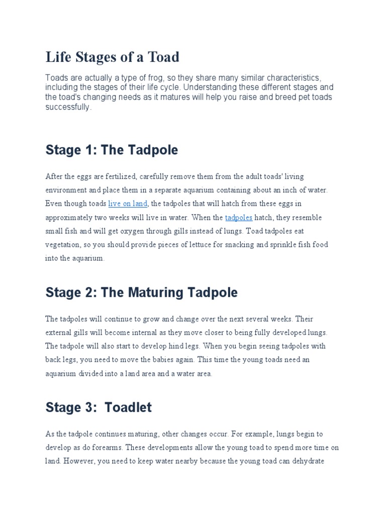 Life Stages of A Toad: Stage 1: The Tadpole | PDF | Zoology