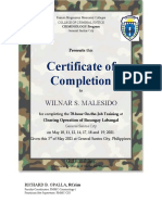 Certificate of Completion: Wilnar S. Malesido