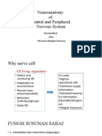 Fisiologi Olah Raga Neuroanatomy Cns Dn Pns 0920