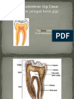 Struktur Jaringan Keras Gigi dan Konservasi Gigi Dasar
