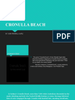 Cronulla Beach Racism