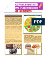 Los Alimentos Para Primero de Primaria