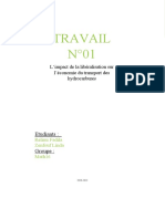 Travail 01 Eco