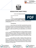 Rd 20-2021-Pnvr Resolucion Directoral (1)