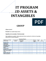 Audit of Fixed Assets and Intangibles