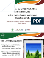 Integrated Livestock Feed Interventions in The Maize-Based Systems of Babati District