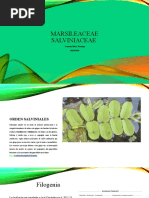 Exposicion Botanica Sistematica