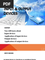 Input & Output Devices - Complete Chapter