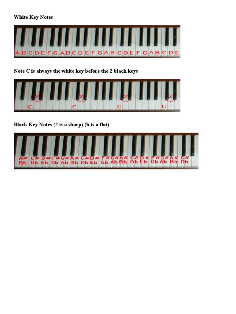 White Key Notes | PDF | Clef | Piano