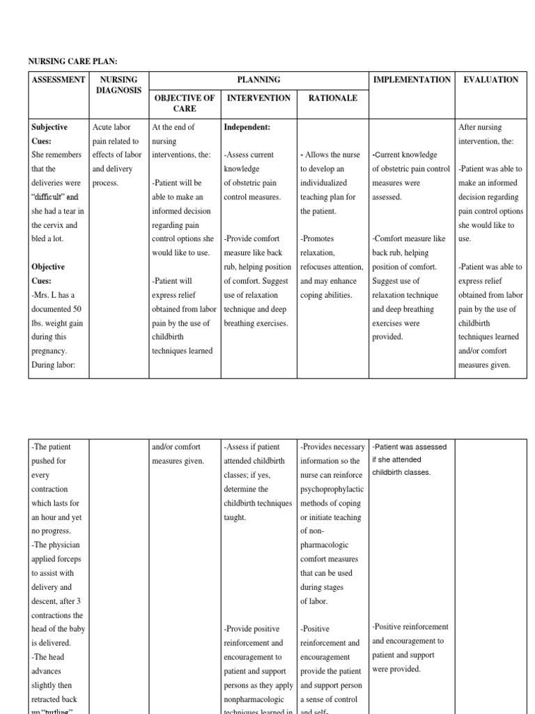 Nursing Care Plan for Labor Pain | PDF | Childbirth | Health Care