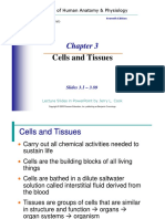 Cells and Tissues