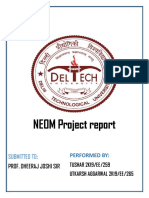 NEOM Project Report: Performed By