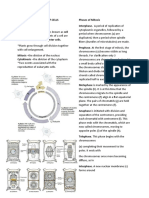 GROWTH AND DIVISION OF CELLS