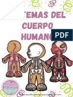 Sistemas Del Cuerpo Humano para Niños