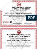 Diploma Modelo